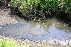 MOSQUITO BREEDING SITES MAPPING