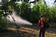 Adulticida contro zanzare