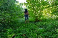Efficacia repellente ambientale per zanzare