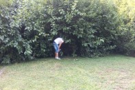 Efficacia repellente ambientale per zanzare
