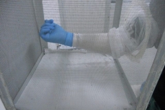 EVALUATION OF A FABRIC REPELLENT AGAINST MOSQUITOES